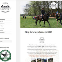 projektowanie stron www pomiechówek