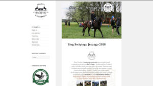 projektowanie stron www pomiechówek