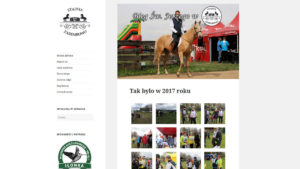 projektowanie stron www